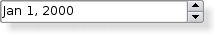 Screenshot of a Plastique style date editing widget
